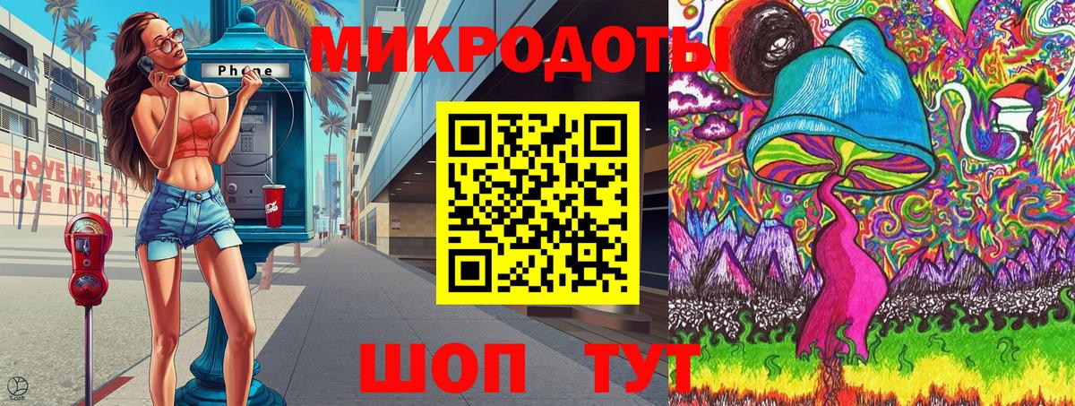 Артём  Псилоцибиновые грибы Psilocybine cubensis  Вход с VPN 